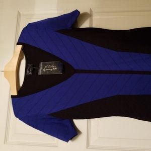 NWT womens Torn by Ronny Kobo dress